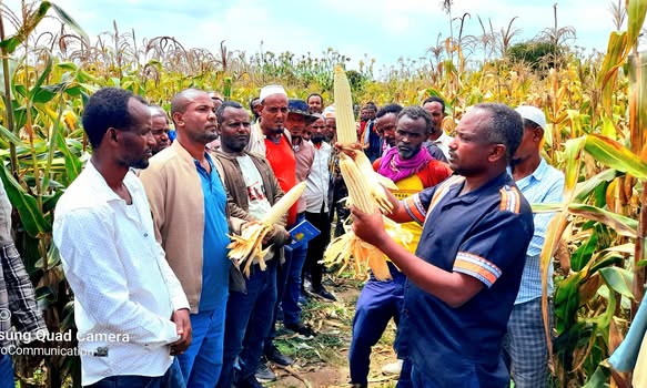 በላንፉሮ ወረዳ ግብርና ጽ/ቤት አዘጋጅነት የአርሶ አደሮች የመስክ በዓል የተለያዩ የልማት ስራዎችን በመጎበኘት ተከበረ፡፡